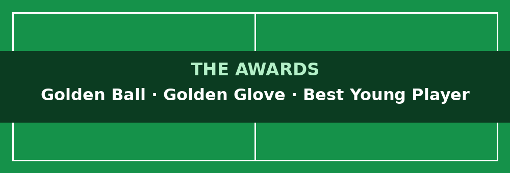 Beyond the Golden Boot: the World Cup player awards